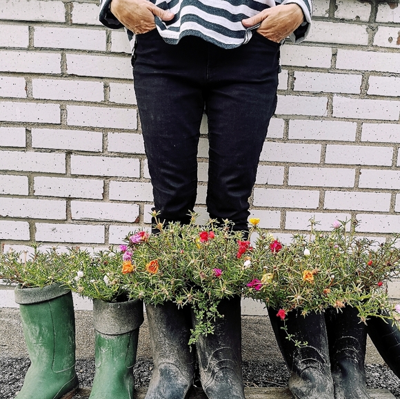 Meet your Posher, Emilie - Picture 1 of 1